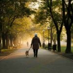 Aggressione al parco Tor Tre Teste: 60enne vittima di violenza mentre passeggia con il cane