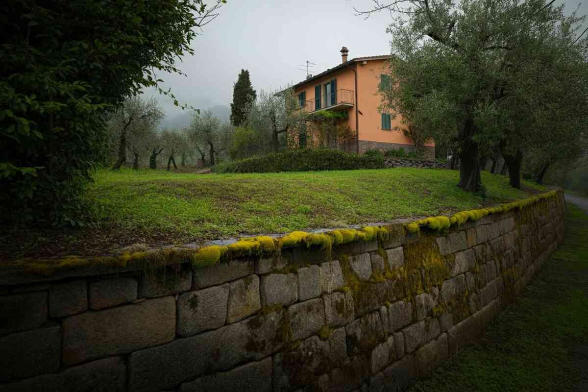 Scoperta macabra ad Arrone: ritrovato il cadavere di una donna sepolto vicino a una casa