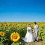 Sposini aggrediti durante un servizio fotografico tra i girasoli: un sogno che si trasforma in incubo