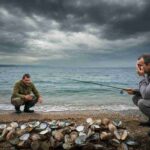 Strage di vongole in Adriatico: i pescatori avvertono, solo gusci vuoti sulla spiaggia